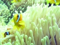 P1010076