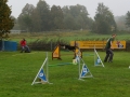 DSC03444