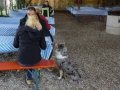 DSC03533