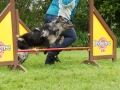 DSC07936