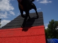 DSC00987