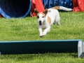 DSC00603