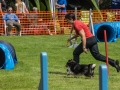 DSC00665