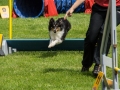 DSC00666