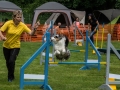 DSC00703