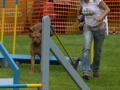 DSC00733