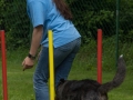 DSC00741
