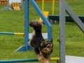 DSC00768