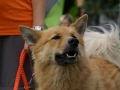 DSC02656