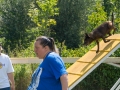 DSC02554