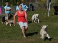 DSC03219