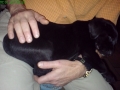 DSC00068 - Kopie