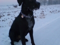 DSC00116