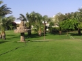 P1010172