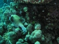 P5260019