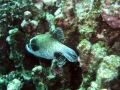 P5260020