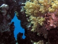 P5260024