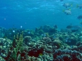 P5260028