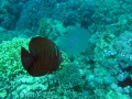 P5260031