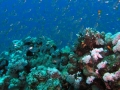 P5270143