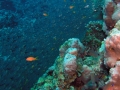 P5270144