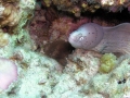 P5270157