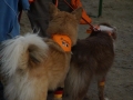 DSC04069