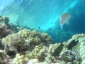 P1010047