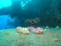 P1010056