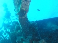 P1010065