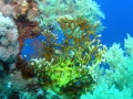 P1010076
