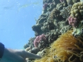 P1010125