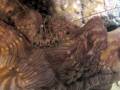 P1010135