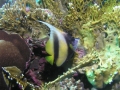 P1010322