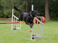 Agility