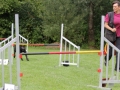 10620336_642845112477650_8497133066845683973_o
