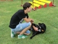 HP_KS_00000009504-300x180