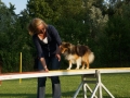 Agility-Training - Anfänger