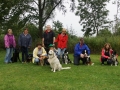 Susi's Gruppe, die Junghunde