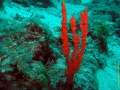 Bild 068 Kopie