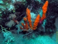 Bild 069 Kopie