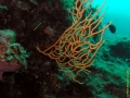 Bild 073 Kopie