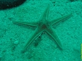 Bild 077 Kopie