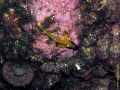 Bild 081 Kopie