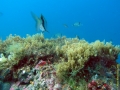 Bild 087 Kopie