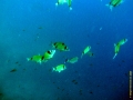 Bild 089 Kopie