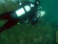 Bild 093 Kopie