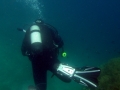 Bild 094 Kopie