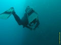 Bild 098 Kopie