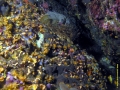 Bild 127 Kopie